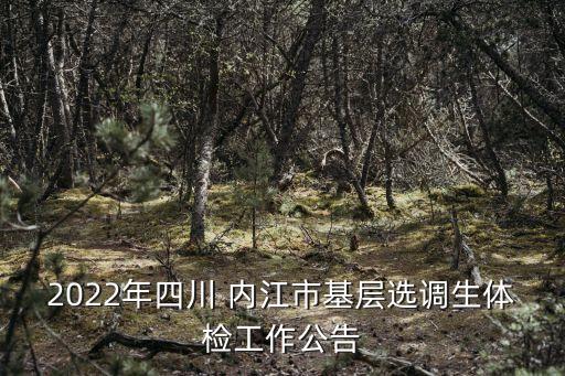内江翔龙山的职业学校,湖南龙山职业学校