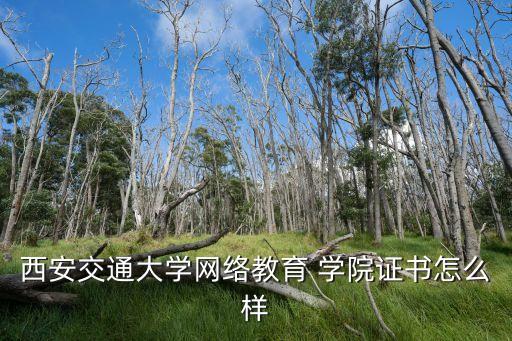交大职业继续学院,北京交大远程教育与继续学院
