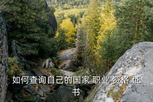 如何查询自己的国家 职业 资格 证书
