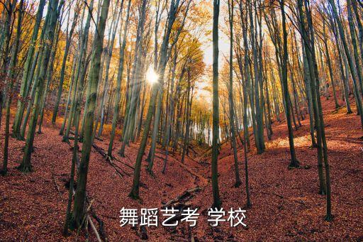  舞蹈艺考 学校