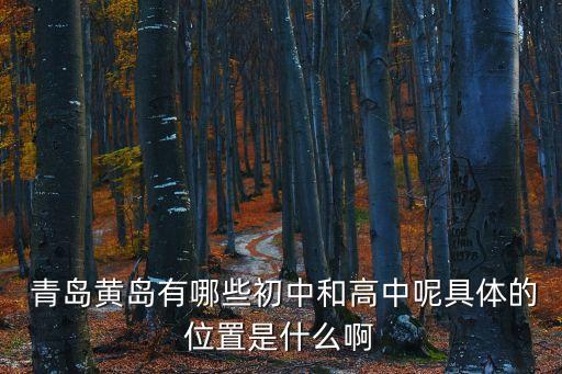  青岛黄岛有哪些初中和高中呢具体的位置是什么啊