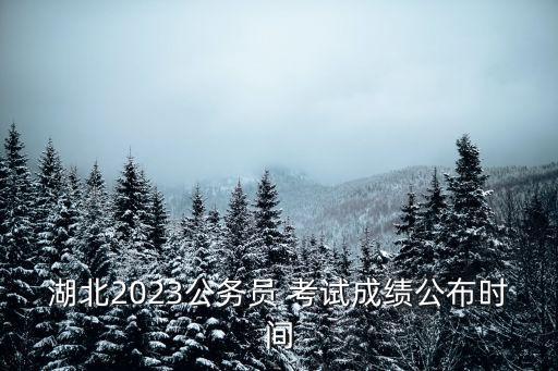 湖北2023公务员 考试成绩公布时间