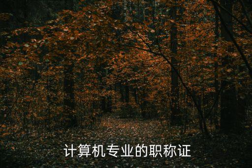  计算机专业的职称证