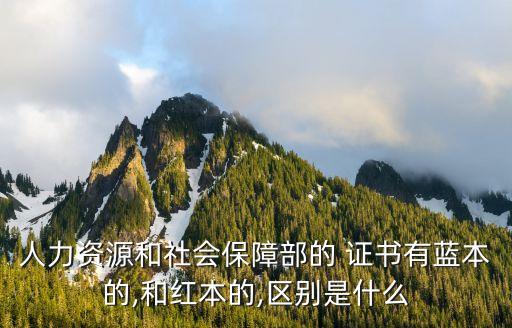 人力资源和社会保障部的 证书有蓝本的,和红本的,区别是什么
