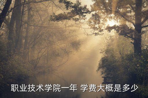  职业技术学院一年 学费大概是多少