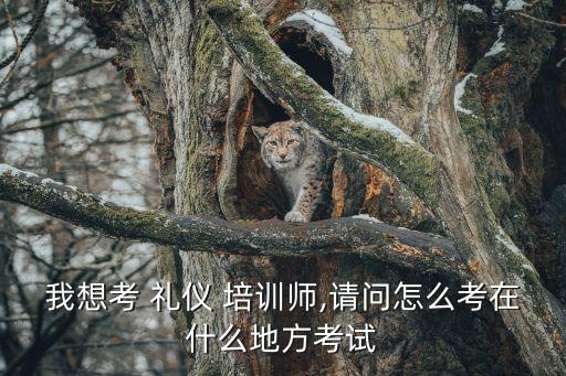 我想考 礼仪 培训师,请问怎么考在什么地方考试