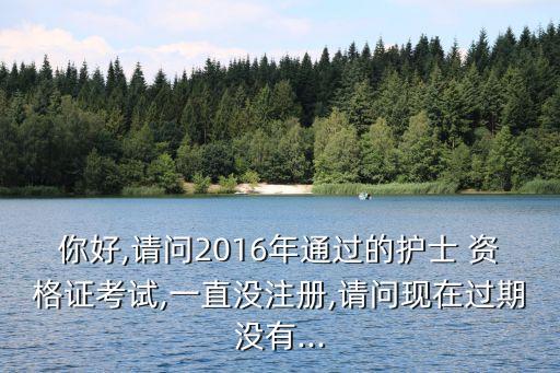 2016年护师职业资格证书,电子版主管护师职业资格证书和原件一样吗