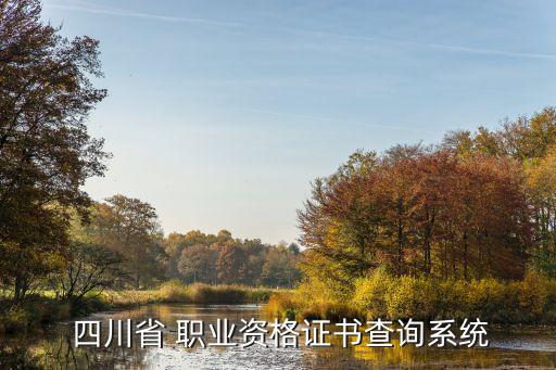  四川省 职业资格证书查询系统