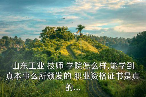 山东工业技师学院职业技能鉴定所,云南工业技师学院技能鉴定成绩查询