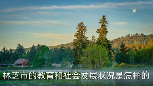 林芝市的教育和社会发展状况是怎样的