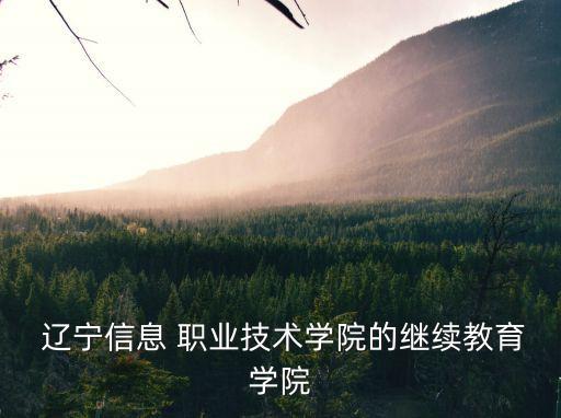  辽宁信息 职业技术学院的继续教育学院