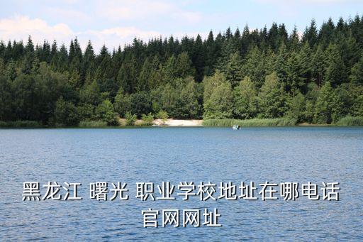 曙光职业有什么,曙光英雄职业比赛