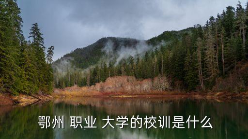 鄂州职业大学自考作弊