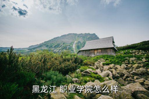 黑龙江职业技术网