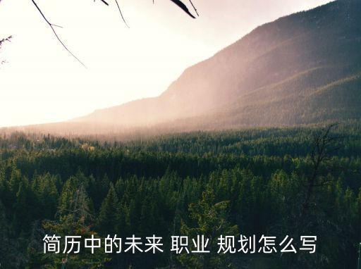 简历中的未来 职业 规划怎么写