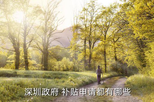  深圳政府 补贴申请都有哪些