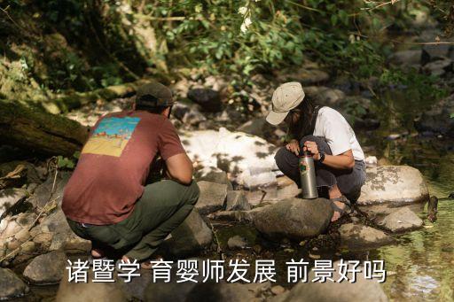 育婴师的职业前景,政府免费培训育婴师