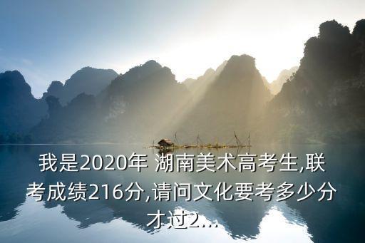 我是2020年 湖南美术高考生,联考成绩216分,请问文化要考多少分才过2...