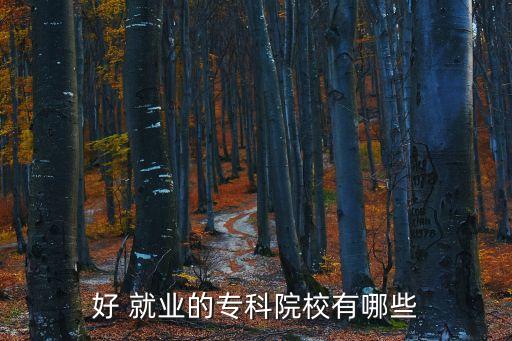 好 就业的专科院校有哪些