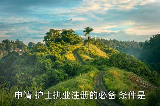 申请 护士执业注册的必备 条件是