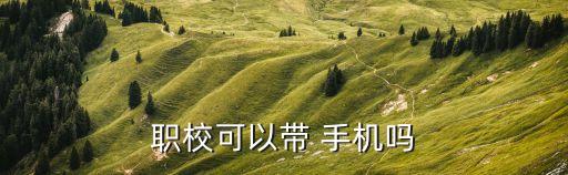 职校可以带 手机吗