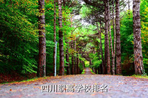 四川职高学校排名