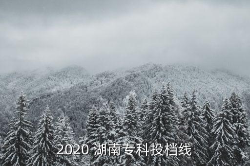湖南工艺美术职业学院艺术分数线