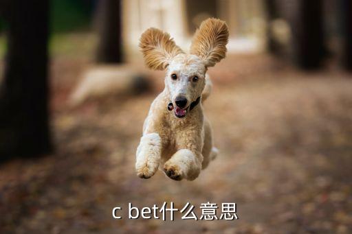 bet职业能力测试