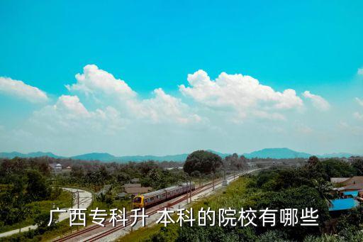 广西职业技术学院升本科