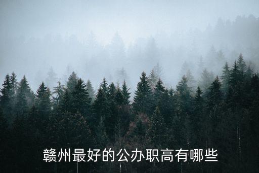 赣州华坚职业学校