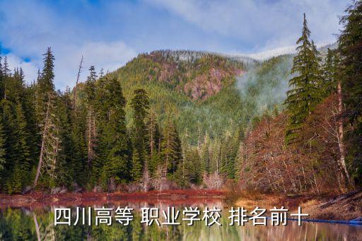 四川高等 职业学校 排名前十