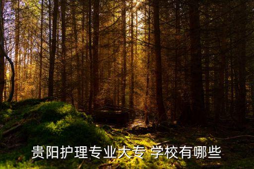 贵阳护理专业大专 学校有哪些
