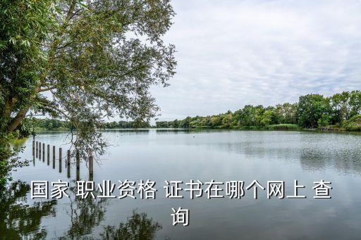 国家 职业资格 证书在哪个网上 查询