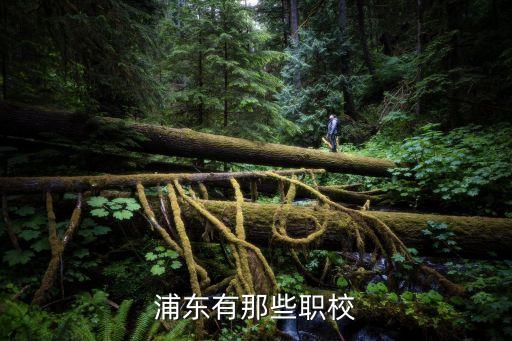 浦东有那些职校