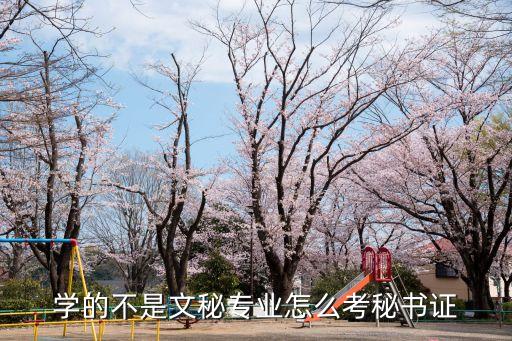 涉外职业资格从业人员,职业资格从业人员范围来讲包括两类