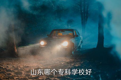  山东哪个专科学校好