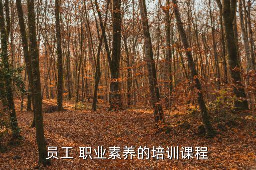 员工 职业素养的培训课程