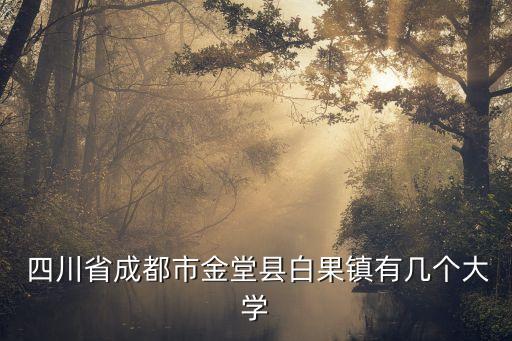  四川省成都市金堂县白果镇有几个大学