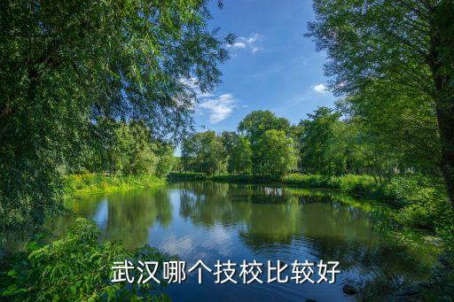 华中高级职业技术
