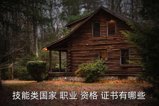 技能类国家 职业 资格 证书有哪些