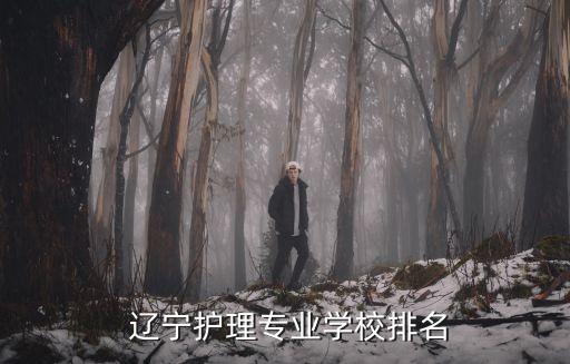  辽宁护理专业学校排名