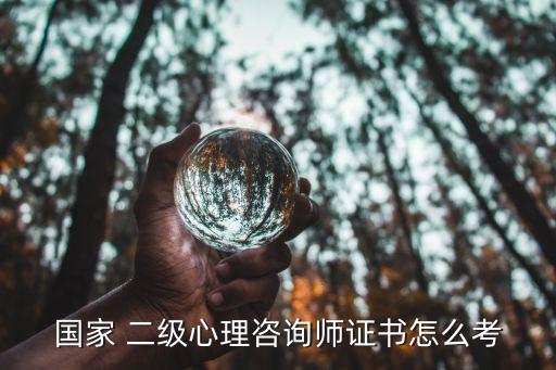 国家 二级心理咨询师证书怎么考