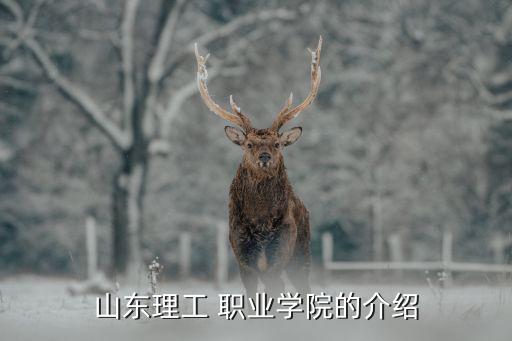 山东理工 职业学院的介绍
