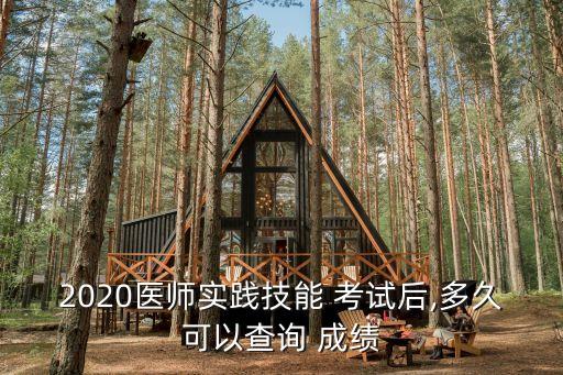 2020医师实践技能 考试后,多久可以查询 成绩