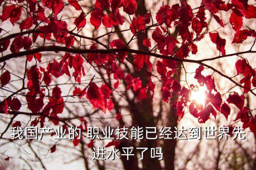 我国产业的 职业技能已经达到世界先进水平了吗