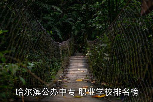  哈尔滨公办中专 职业学校排名榜