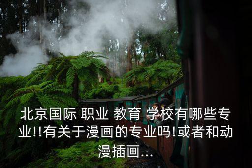 北京国际 职业 教育 学校有哪些专业!!有关于漫画的专业吗!或者和动漫插画...