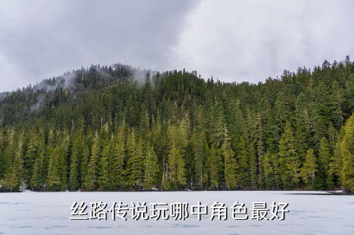  丝路传说玩哪中角色最好
