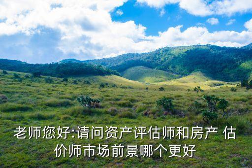 老师您好:请问资产评估师和房产 估价师市场前景哪个更好