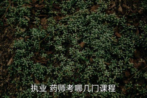执业 药师考哪几门课程